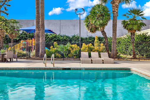 A pool surrounded by palm trees and lounge chairs.