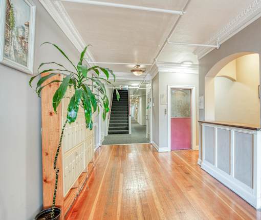 A long hallway with a plant on the left and a staircase in the middle.