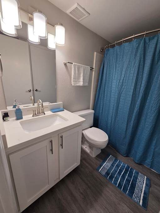 A bathroom with a sink, toilet, and shower curtain.