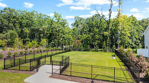 Dog park