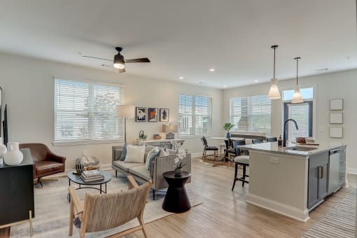 kitchen and living room in Asheville NC