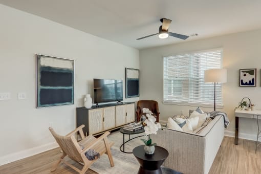 a living room with a couch chair and tv in Asheville