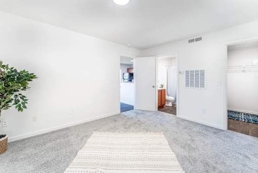A room with a rug on the floor and a plant on the left side.