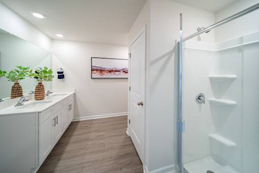 A white bathroom with a walk in shower and a white vanity.