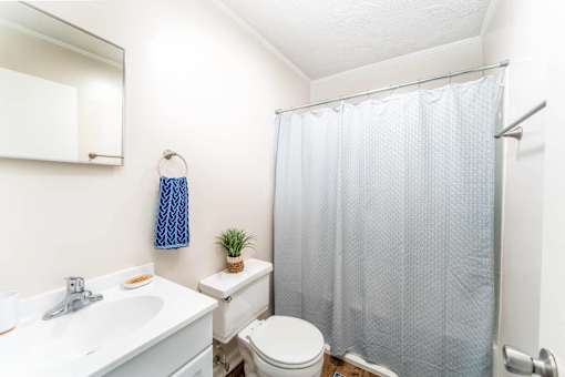 A small bathroom with a toilet, sink, and shower curtain.