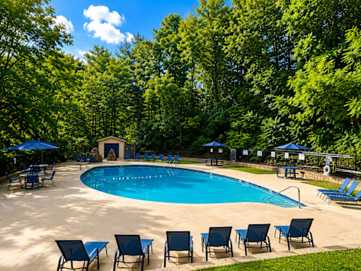 A pool surrounded by trees and chairs.