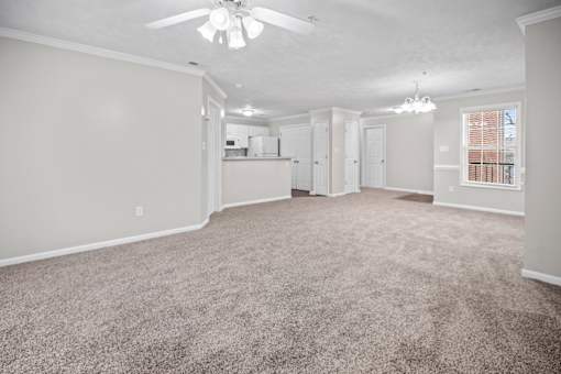A spacious room with a ceiling fan and carpeted floor.