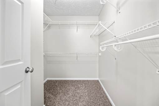 A white closet with a carpeted floor and white shelves.