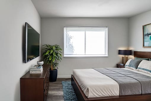 A bedroom with a bed, a television, a potted plant, and a lamp.