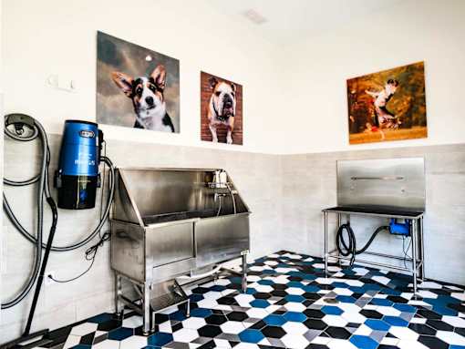 A room with a black and white checkered floor and a large metal sink.
