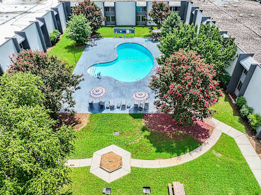 A swimming pool surrounded by trees and a building in the background.