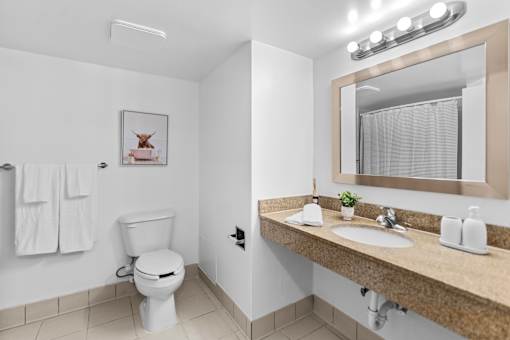 A bathroom with a toilet, sink, and mirror.