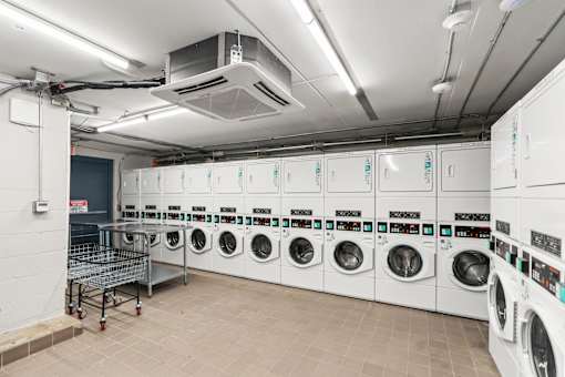 A row of white front load washing machines are lined up in a laundry room.