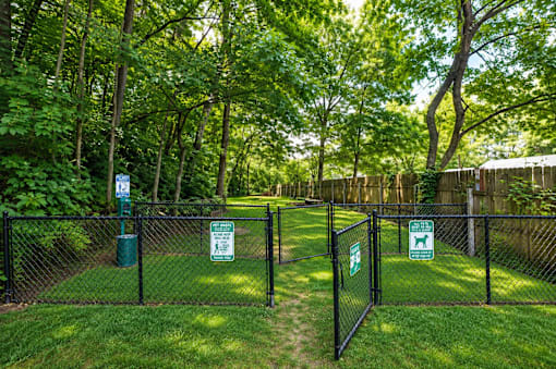 A sign on a fence indicates that dogs are allowed in the park.