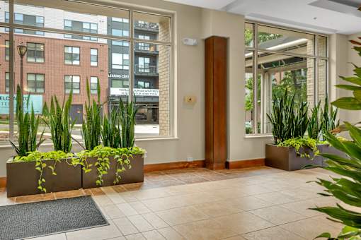 A hallway with a planted planter on the floor.