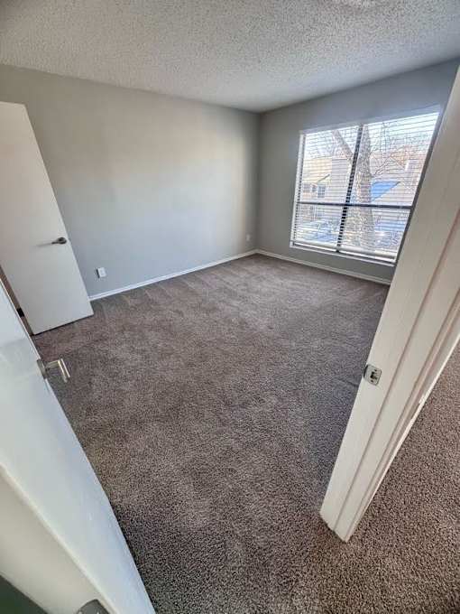 A room with carpeted floor and a window with blinds.