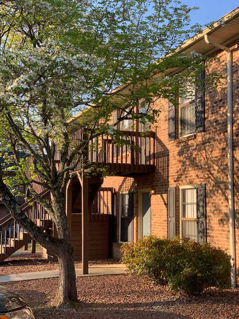 A tree branch is in the foreground of a building with a red brick facade.