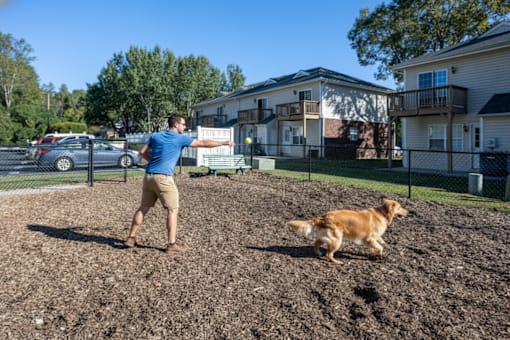 A man throwing a frisbee to a dog in a field.