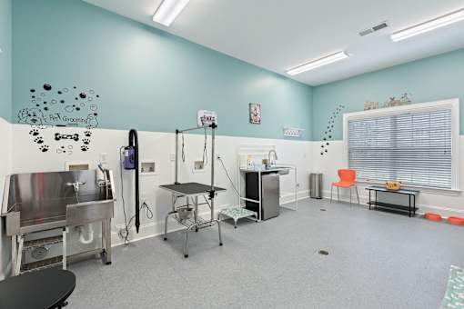 A room with a blue wall and a sign that says Pet Grooming.