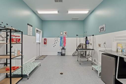 A room with a blue wall and a white door.