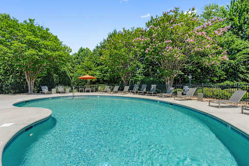 A swimming pool surrounded by trees and chairs.