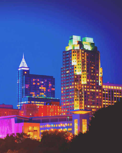 Raleigh \, NC Skyline