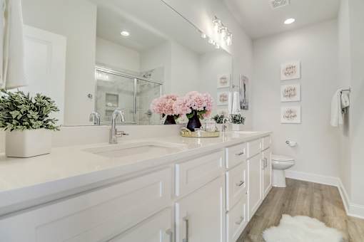 A white bathroom with a large mirror and a plant on the counter.