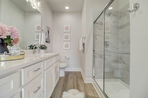 A bathroom with a walk-in shower and a toilet.