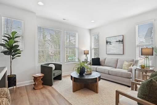 A living room with a couch, a coffee table, and a potted plant.