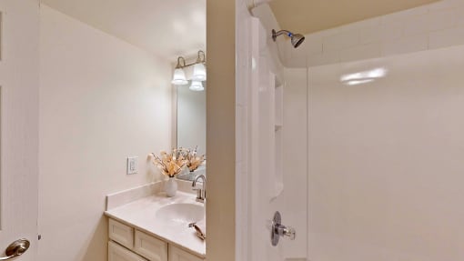 a bathroom with a shower and a sink and a mirror