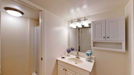 a bathroom with a sink and a mirror and a shower