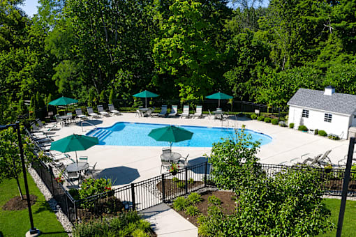 A pool surrounded by trees and umbrellas.