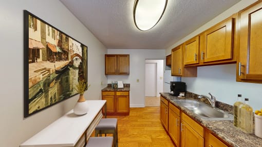 a kitchen with a sink and a counter top