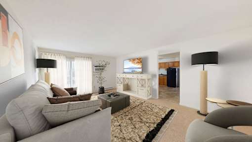 A living room with a grey sofa and a patterned rug.