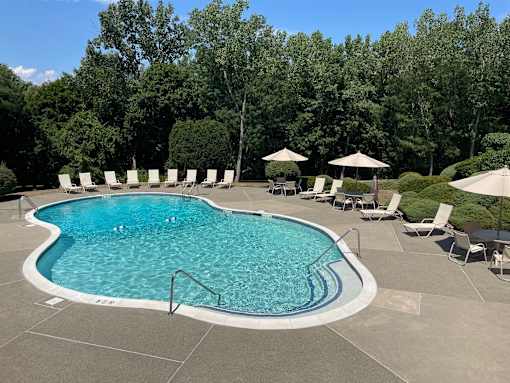 A large outdoor swimming pool surrounded by trees and lounge chairs.