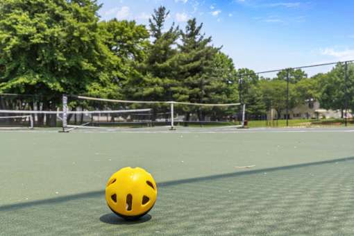 A yellow ball sits on a green surface.