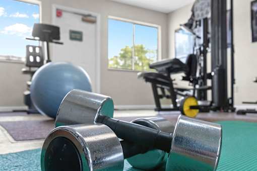 A pair of dumbbells are on a green mat in a gym.