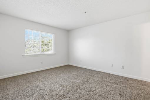 A room with a carpeted floor and a window.