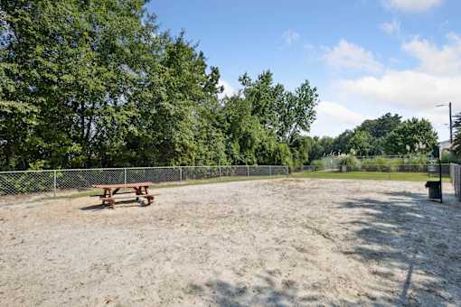 A sandy area with a picnic table and trees in the background.