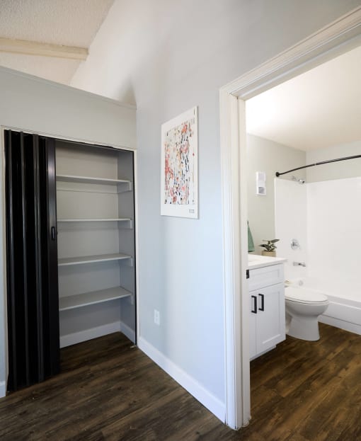 a bathroom with a closet and a toilet and a sink