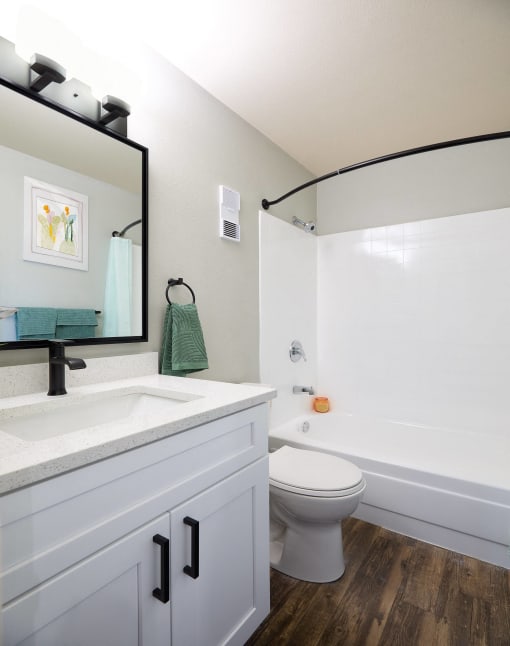 a bathroom with a sink and a toilet and a shower