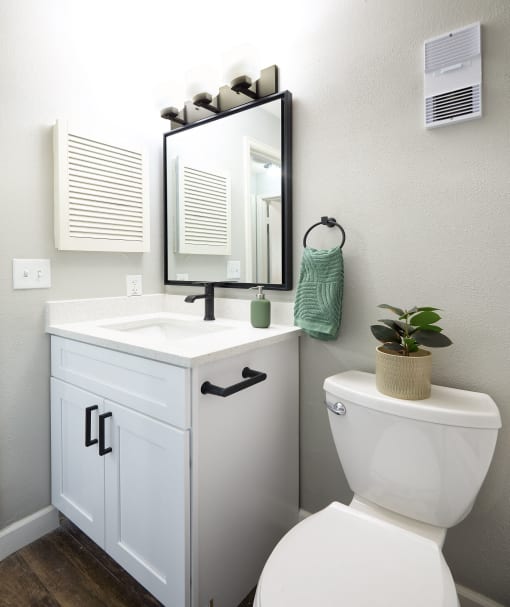 a small bathroom with a toilet and a sink and a mirror