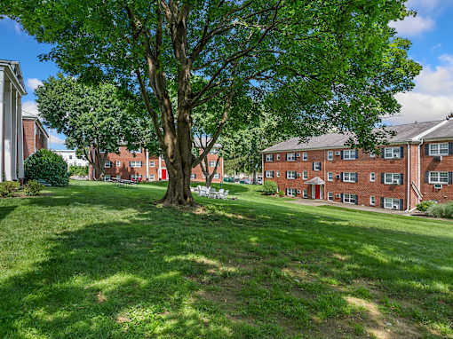 A tree in a grassy area in front of a red brick building.