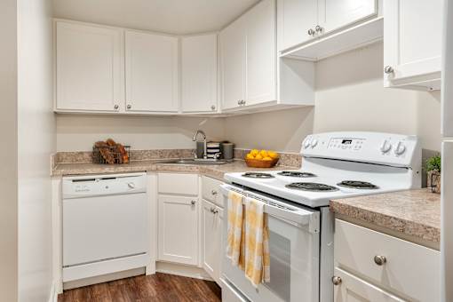Efficient kitchen layout with generous storage and convenient access to the dining area.