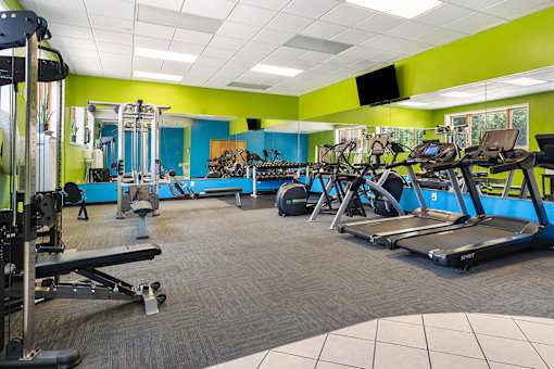 A gym with a variety of equipment including treadmills, weights, and exercise machines.