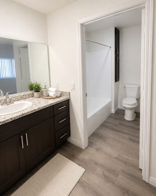 A bathroom with a sink, mirror, toilet and bathtub.