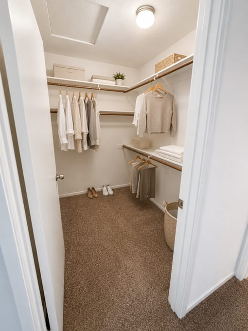 A small, white closet with a carpeted floor and a white door.