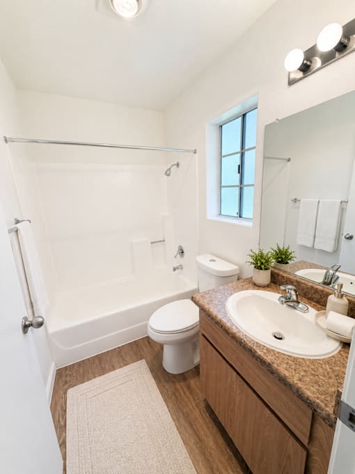 A bathroom with a toilet, sink, and a window.