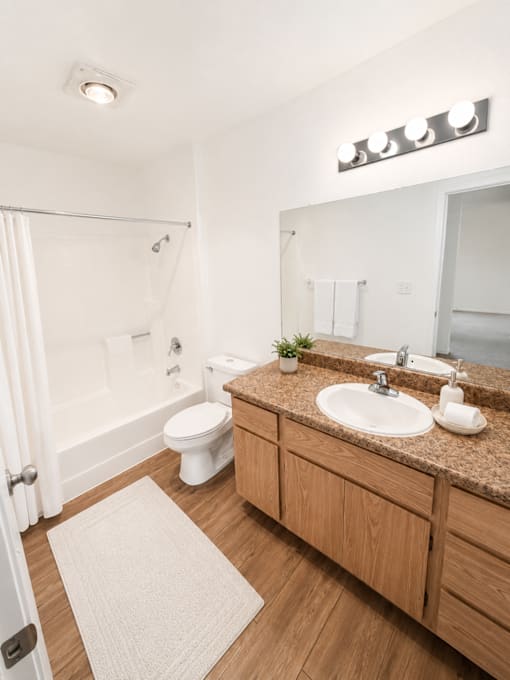 A bathroom with a toilet, sink, mirror, and rug.