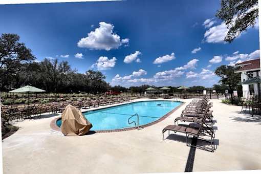 A large outdoor swimming pool with sun loungers and a tree in the background.